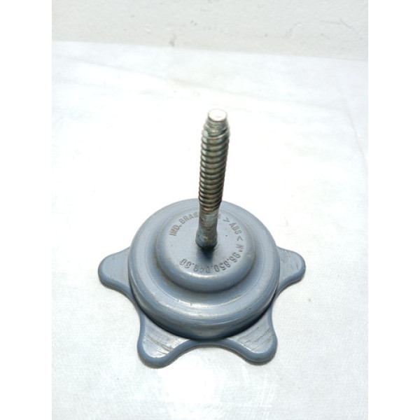 Parafuso Fixação Estepe C3 2013/2017 C/detalhe Cx20.